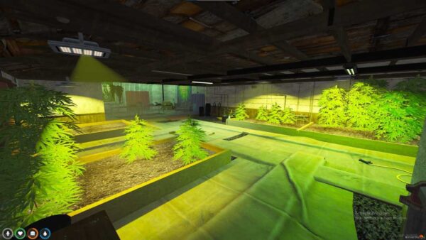 fivem weed farm locations - Image 2